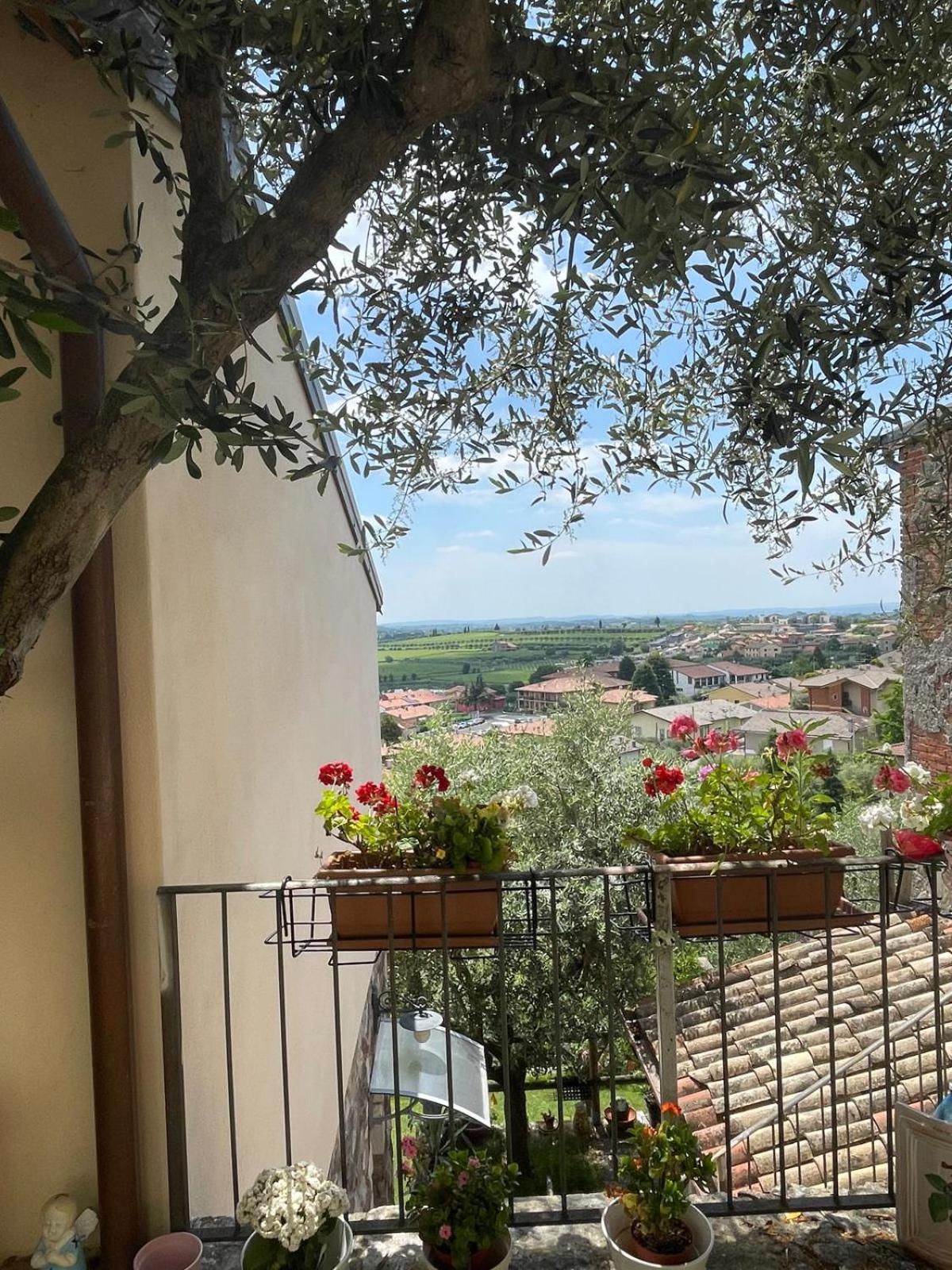 Garden Room Cavaion Veronese Exterior foto
